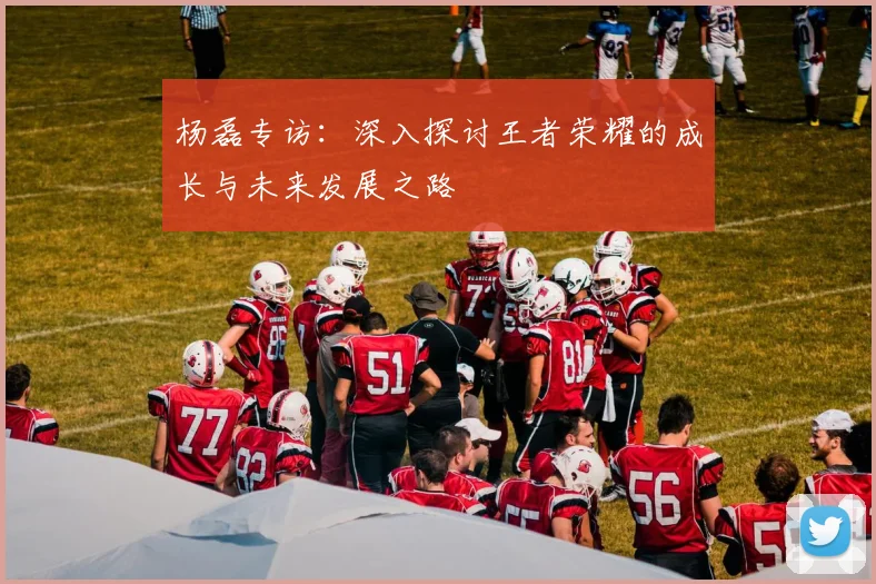 杨磊专访：深入探讨王者荣耀的成长与未来发展之路