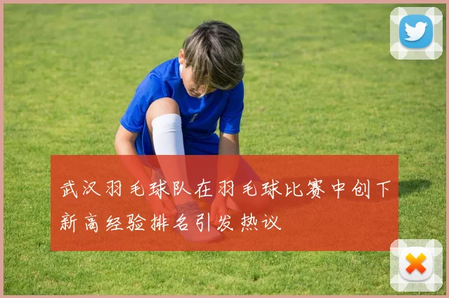 武汉羽毛球队在羽毛球比赛中创下新高经验排名引发热议