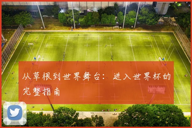 从草根到世界舞台：进入世界杯的完整指南